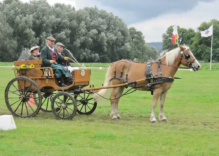 à Blooms Casa vacanze *